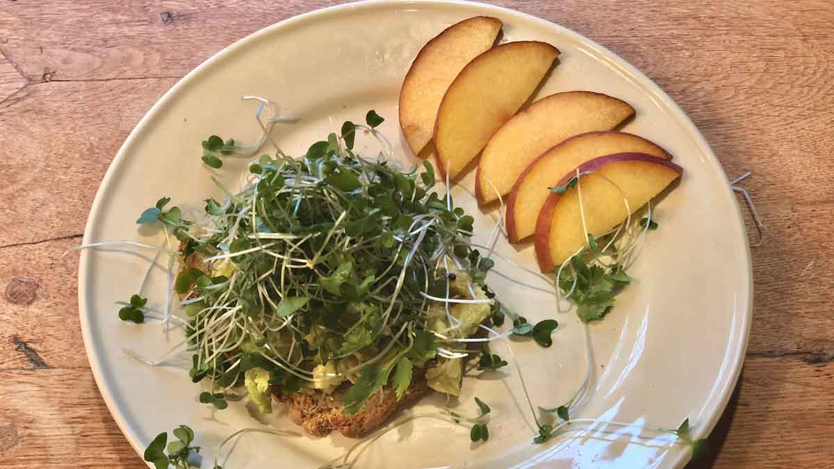 Avocado Toast with Sprouts!
