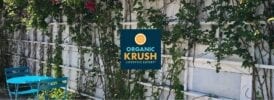 Organic Krush - Krush Summer Fun - outdoor seating