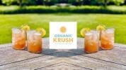 Summer Recipe: Watermelon Cadillac Margarita social