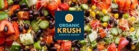 Organic Krush 5 tips for Summer Blog banner - OK Logo over Fresh fruit salad