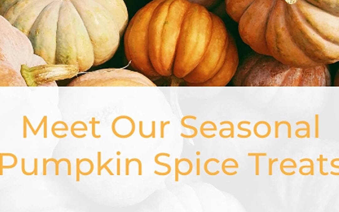 Craving More Pumpkin Spice Treats?