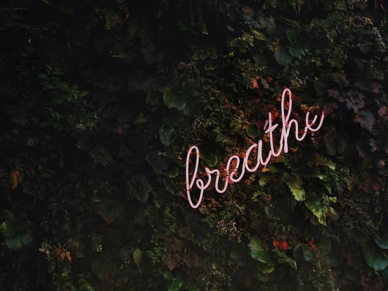 Organic_Krush-That-was-Zen-800px-02