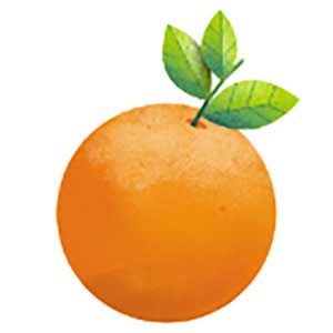 Organic_Krush-March_Wellness-300px Fresh Orange with Green leaves