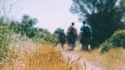 Tick Tack No - People hiking through a field on a sunny day