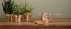 Organic Krush - Green Scene -Green plants in copper pots, watering can and work gloves on a wood table