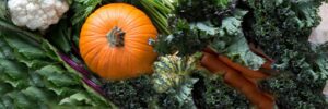 Organic Krush- Eat with the changing seasons- Fresh fall vegetables